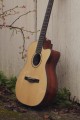 Cort Gold OC8 Nylon