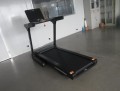 Generation Fitness Cervus