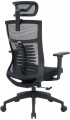 OfficePro Balance OC550