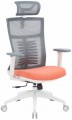 OfficePro Balance OC550