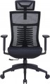 OfficePro Balance OC620