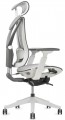 ADAPWORK S1 Mesh Senior ErgoChair