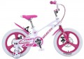 Profi Trike Velocity MB16