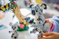 Lego Wild Animals Family of Koalas 31388