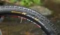 Continental Race King 29x2.2