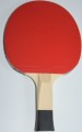 Butterfly Timo Boll SG11