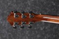 Ibanez AEG200
