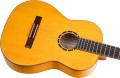 Ortega R170F