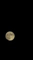 Tamron 70-300 f/4.5-6.3 RXD Di III