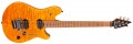 EVH Wolfgang WG Standard QM