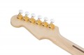 Fender Richie Kotzen Strat