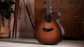 Taylor Builder's Edition 914ce WHB