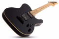 Schecter PT