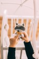 Zopa Music Mobile Raccoon