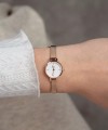 Daniel Wellington Petite Mini DW00100744