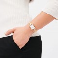 Daniel Wellington Bound 3-Link DW00100702