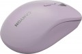 Canyon CNS-CMSW12