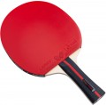 Butterfly Dimitri Ovtcharov Striker