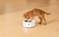 Catlink F03 Standard
