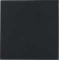 Thermal Grizzly Minus Pad Advance 100x100x0.5 (2 pcs)