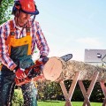 Einhell Home GH-EC 2040