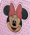 American Tourister Funlight Disney 36