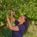 GARDENA PremiumCut 12241-20