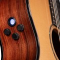 Cort Gold OC8 Nylon