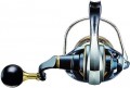 Daiwa Saltiga 20 G 8000-H