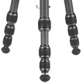 Vanguard VEO 5 234CB-110S