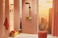 Hansgrohe Raindance Alive S 300 24595000