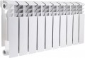 Thermo Alliance Bi-Ferrum 300/100