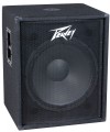 Peavey PV 118