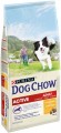 Dog Chow Adult Active Chicken 2.5 kg