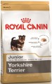 Royal Canin Yorkshire Terrier Junior 0.5 кг