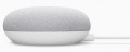 Google Nest Mini