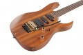 Ibanez RG6PKAG