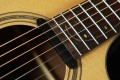 Ibanez AE2912