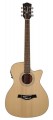 Richwood RG-16CE