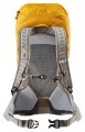 Deuter AC Lite 22 SL 2021