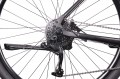 MBM Maxilux 29 2022
