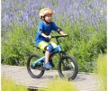 Ninebot Kids Bike 18