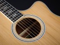 Hagstrom Siljan II Dreadnought CE
