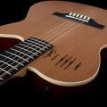 Godin A12