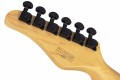 Schecter PT