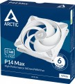 ARCTIC P14 Max White