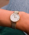 Daniel Wellington Petite DW00100662