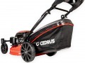 Cedrus KS51S-ZT