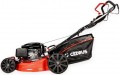 Cedrus KS53S-L