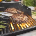 Weber Spirit EP-325